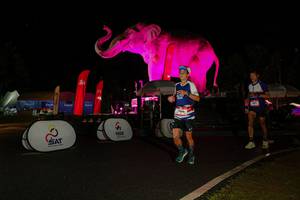 BIB: 
                            <button type="button" onclick="openModal(26535304)" class="btn btn-primary btn-sm float-right btn-popup" data-toggle="modal" data-target=".modal-high-quality">
                        <i class="fas fa-shopping-cart"></i> Add to Cart
                    </button>
                                            <button type="button" onclick="isThisMe(26535304, true)" class="btn btn-success btn-sm float-right btn-popup btn-isme hidden" data-toggle="tooltip" data-placement="bottom" title="นี่คือรูปของคุณใช่ไหม คลิกที่นี่เพื่อเอาเข้าอัลบั้ม">
                        <i class="fas fa-plus"></i> Add to album
                    </button>
                    <button type="button" onclick="isThisMe(26535304, false)" class="btn btn-warning btn-sm float-right btn-popup btn-isnotme hidden">
                        <i class="fas fa-ban"></i> Remove from album
                    </button>